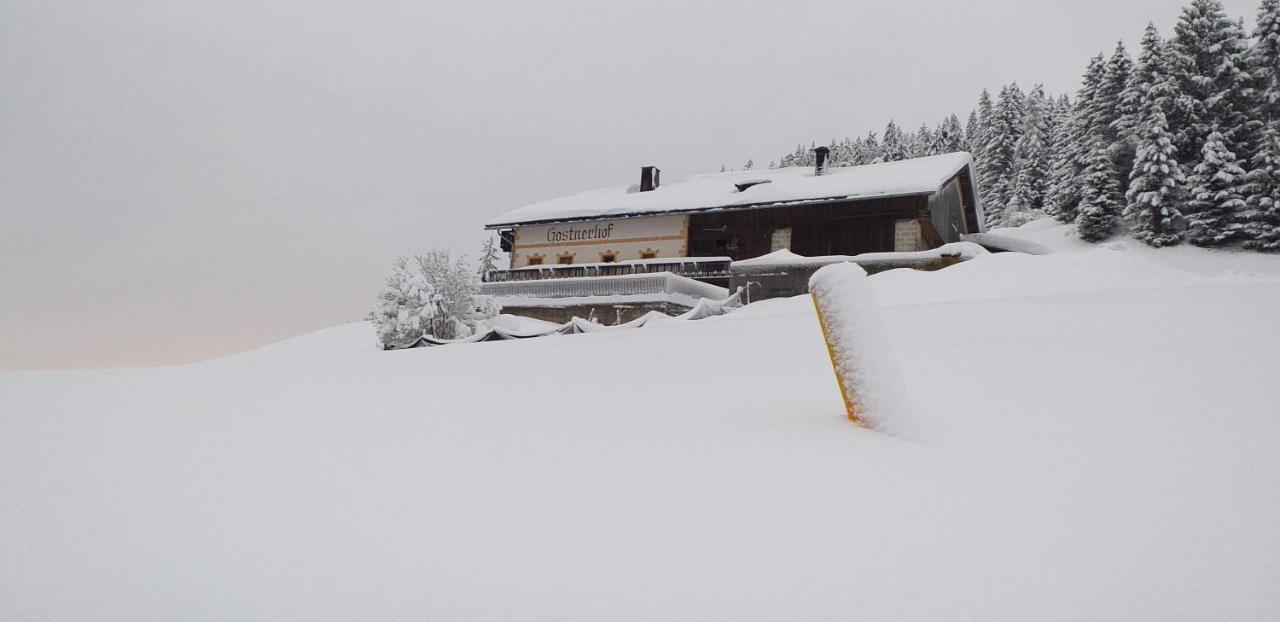 Gostnerhof Apartman Dobbiaco Kültér fotó